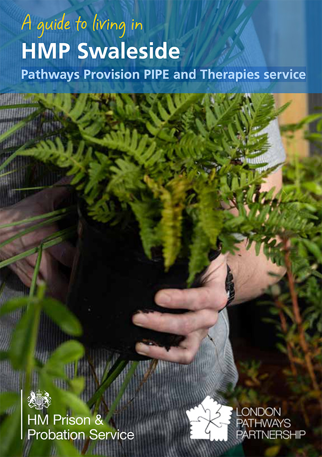 Pathways Provision PIPE and Therapies service